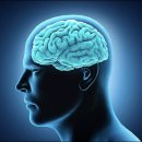 투혼정심관 이미지