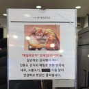 메밀애감자중앙 이미지