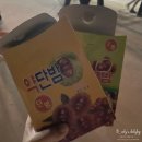 신흥닭집 | 익산 미륵사지 미디어아트 후기 + 아이와 가볼만한곳 여행 코스