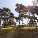 송산포도원혜농원