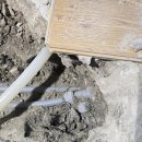 장비불러 | 포항 하수구 냄새 해결 후기, 포항두더지하수구 사장님 불러 기분 좋게 해결한 경험입니다~