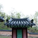 충신의사단비 이미지