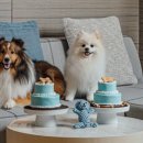 제이제이메디칼 이미지