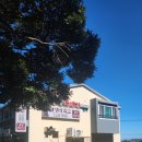 공항뚝배기 | 제주공항근처 찐도민맛집 공항뚝배기 후기