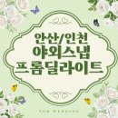 딜라이트 | (W3-2) 야외스냅 안산, 인천 중심으로 찾은 &#39;프롬딜라이트&#39; 예약후기