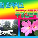 신트리공원 배드민턴장 이미지