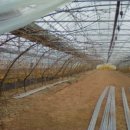 김영선농장 이미지