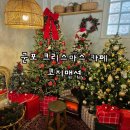 [경기 군포] 산본역 크리스마스 카페 &#39;코지맨션&#39; 군포 트리 카페, 산본 트리 카페, 애견동반 카페