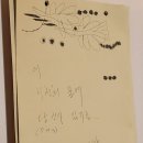 리안헤어(중곡점) | 우리 할머니 재산 임영웅에게 물려 주신대...