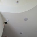 센텀애견샵 이미지