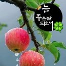 늘좋은날 - 홍성군 | 늘좋은날