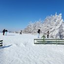 대둔산목장 이미지