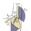 예산정형외과의원 이미지