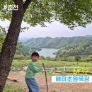 해피멍멍이 | 아이와 함께 풍경이 너무 좋은 해피초원목장 봄 나들이