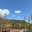 애견의숲 | [국립 화천숲속야영장] 예약 꿀팁 + 애견사이트 이용 후기 (예약 하늘의 별따기 최고 캠핑장!)