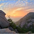 일출체육관 이미지