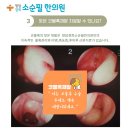 청담경희소순필한의원 네이버블로그