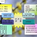 정선군보건소 Daum카페