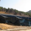 안골농원 이미지