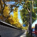 금천구판장 | 서울 역사기행 - 창경궁