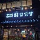 광명문화의집 | 광명역 맛집 일일양 광명점 코스트코 근처 양갈비 맛집 후기 / 내돈내산 후기