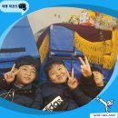 안양 태풍 태권도장 이미지