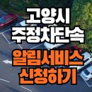 주정차 단속 - 001 이미지