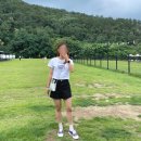 키작녀 여름 반바지 블림핏 블림진 모찌 스판 히든밴딩 코튼 반바지 후기