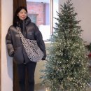 노르디스크 패딩 크리스탈다운 남녀공용 패딩 내돈내산 후기
