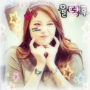 상큼하개 이미지