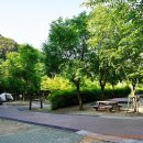 숲속의야영장 이미지