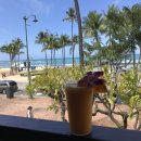 모아나스테이 이미지