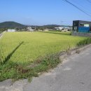 산업로-7 이미지