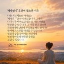 무괴아심. 월드컵 이야기.반포지효. 매실장아찌 이미지