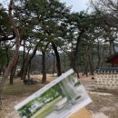 얼렁뚱땅 백수의 내돈내산 무계획 나름 경상도여행 후기 (feat. 청남대+대전+경주+포항+영천)
