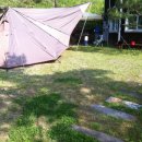 미도리(춘천닭갈비) 이미지