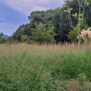 상림화원 이미지