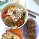 포케담다 이미지