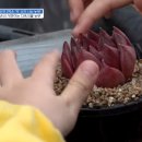 혜란농장 이미지