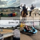 동화목장 | 제주동쪽가볼만한곳 목장카페 드르쿰다 알차게 사용한 쿰다패스 원데이패스 사용 후기