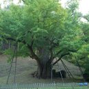 중앙부동산 이미지