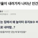 출산율이 내려가자 나타난 인간 유형. 이미지