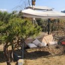 토브하르 이미지