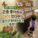 삼백로 | 용인 가볼만한 곳, 곤충 좋아하는 아이 있다면 용인곤충테마파크 추천