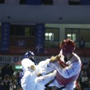 홍성 21세기 태권도 체육관 이미지