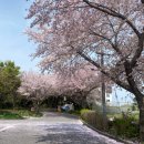 조주기능사(토) 이미지