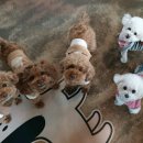 동탄 스케치 동물 병원 이미지