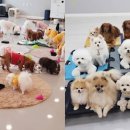 동일유치원 이미지