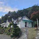 진동산채민박 네이버블로그