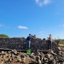 제주돌담 이미지